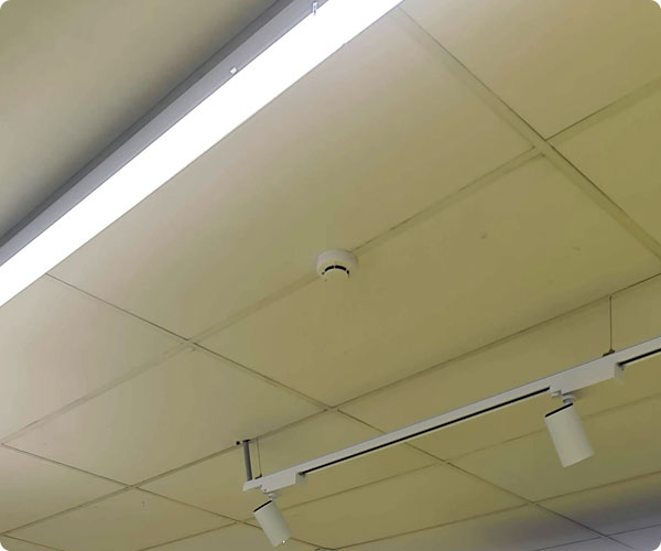 détecteur de fumée d'incendie et plafonnier LED